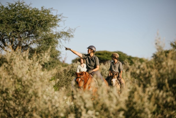 Enjoy 4 unforgettable family horse riding holidays in Southern Africa. Discover adventure and wildlife on horseback.