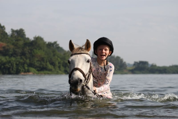 Swimming pony in the Nile River - Nile Horseback Safaris
