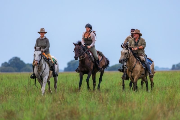Embark on a horse riding holiday at Simalaha and Chundukwa River Lodge in Zambia. Explore scenic trails and wildlife encounters.