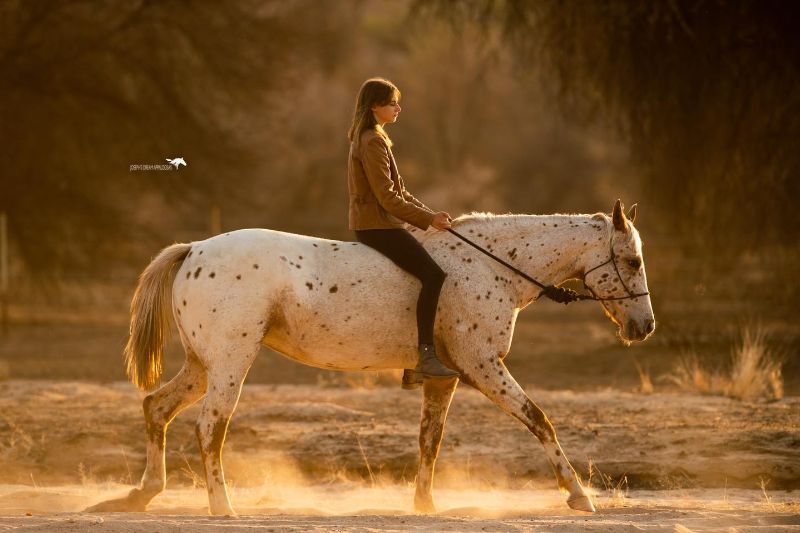 Natural Horsemanship In Namibia