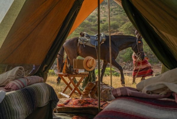 Horse walking in front of tent at Ol Malo in Kenya - African Horse Safaris