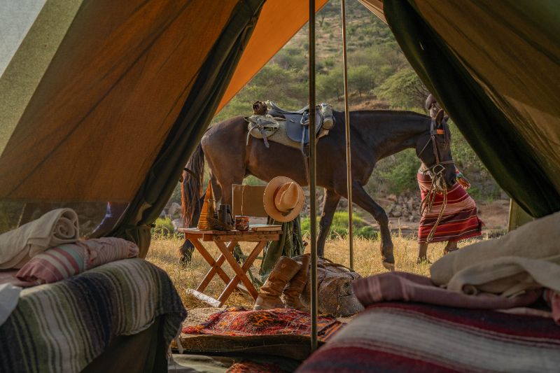 Horse walking in front of tent at Ol Malo in Kenya - African Horse Safaris