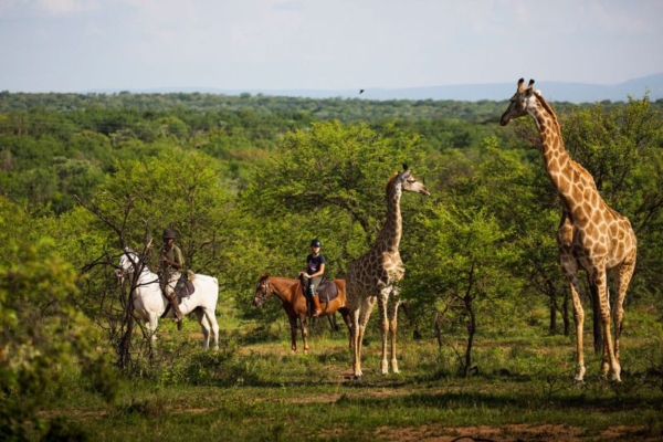 Travel with Purpose Horse Safaris Making a Difference 3