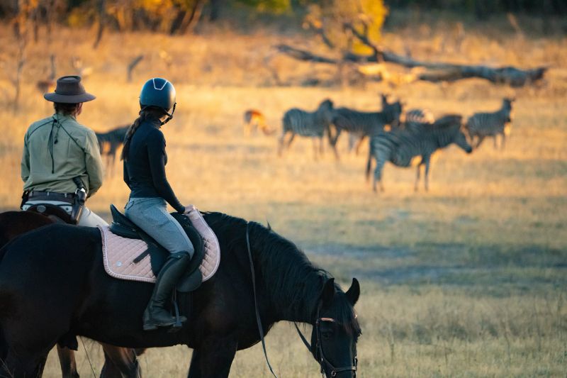 Horse riding alongside zebra near Hwange National Park, Zimbabwe