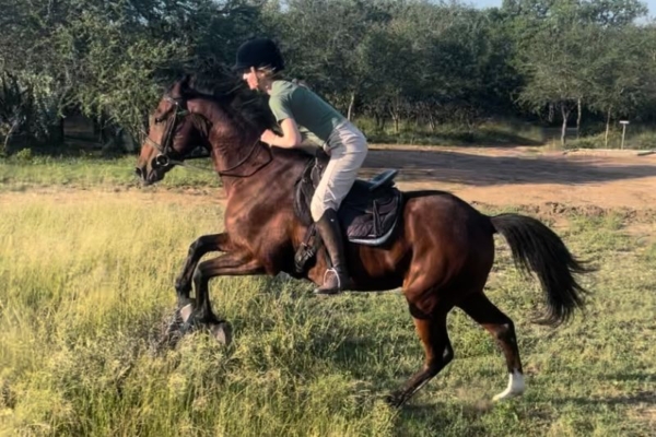 Girl doing crosscountry on bay horse at Wild Ride Equestrian Working Holiday in South Africa