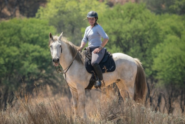 Horse Riding at Wild Ride Equestrian Working Holiday in South Africa