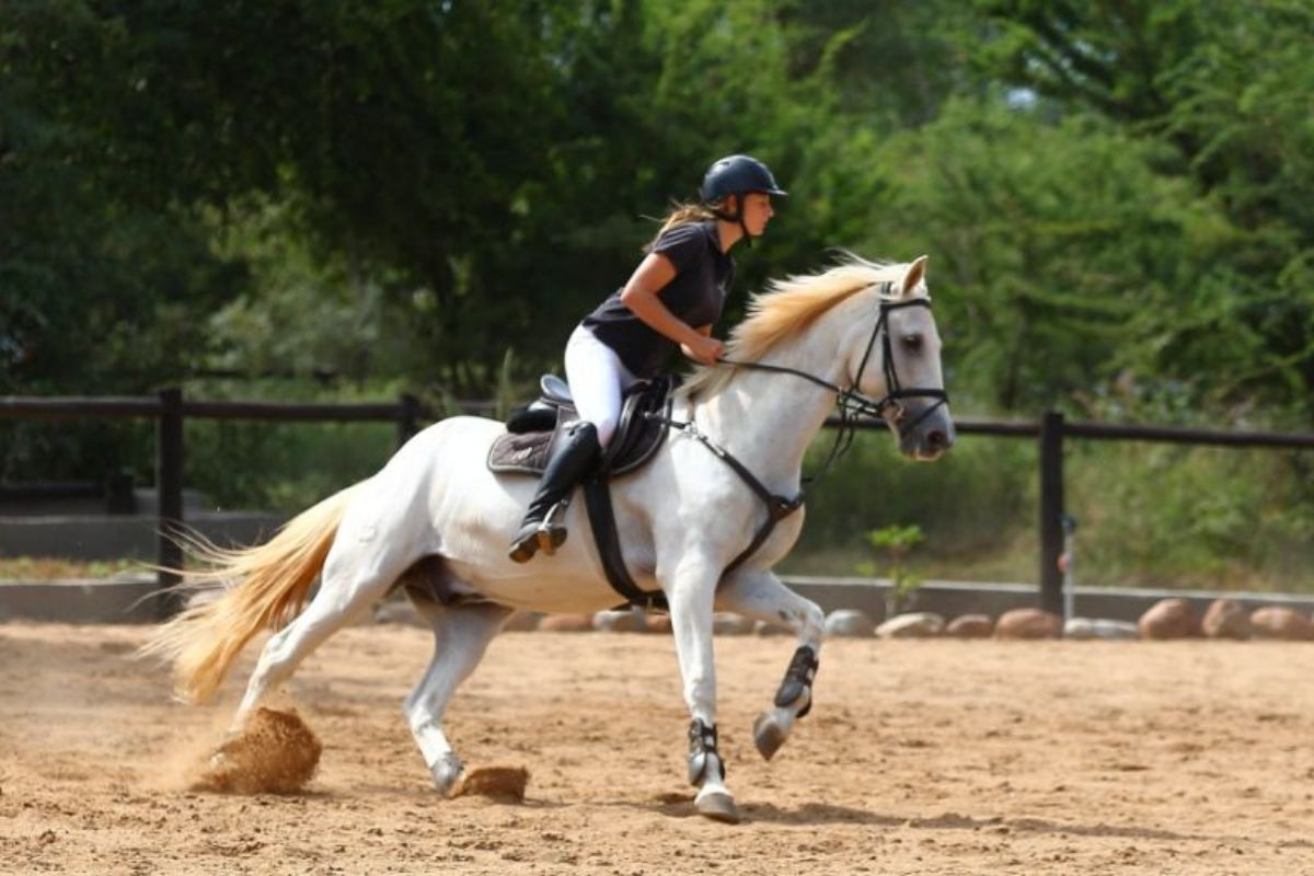 girl on a grey horse cantering in an arena