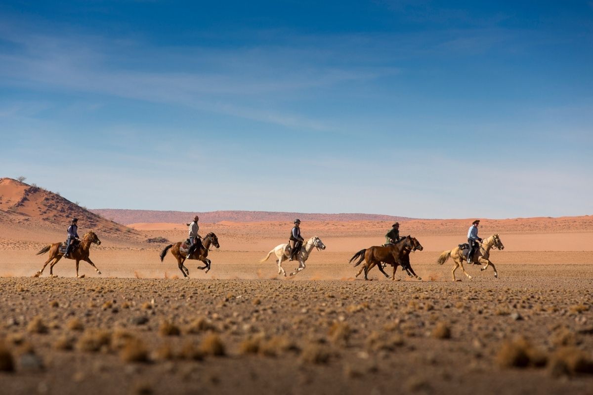 horses and riders galloping across the desert plains in namibia