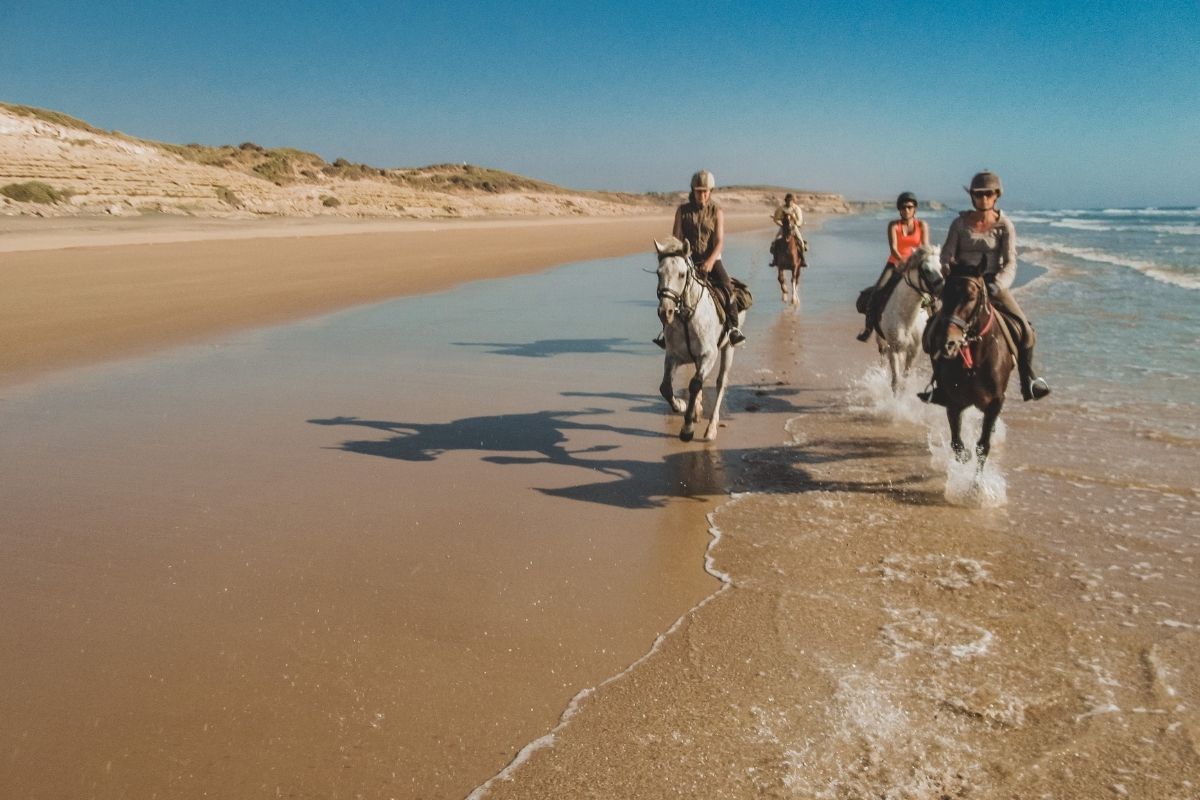 horses and riders cantering in the ocean near the desert in morocco