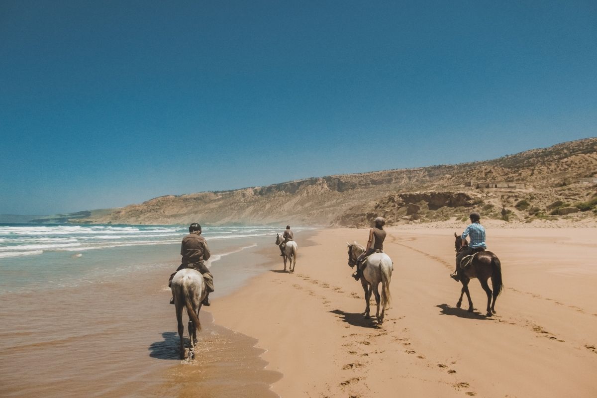 horses and riders on the beach in essaouira