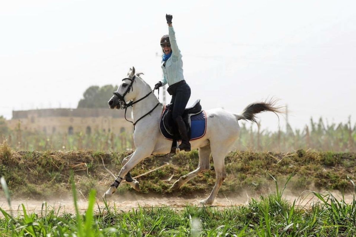 lady riding a grey arab horse standing in the saddle with her hand in the air in egypt