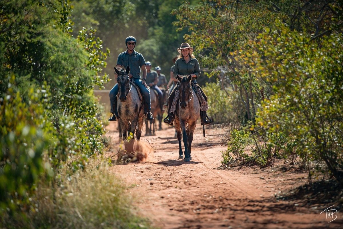 group of appaloosa horses and riders walking along a sandy trail with bushes on either side