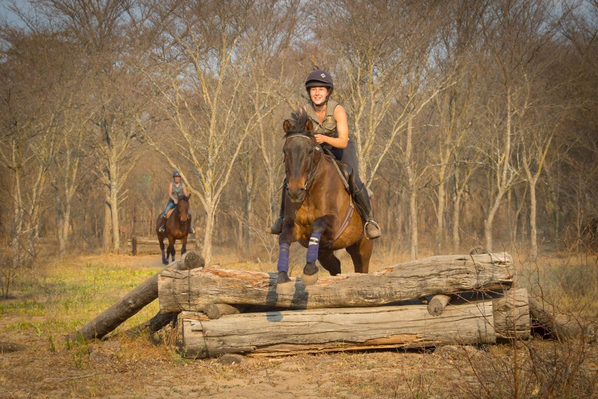 girl on a bay horse smiling while jumping logs in the bush