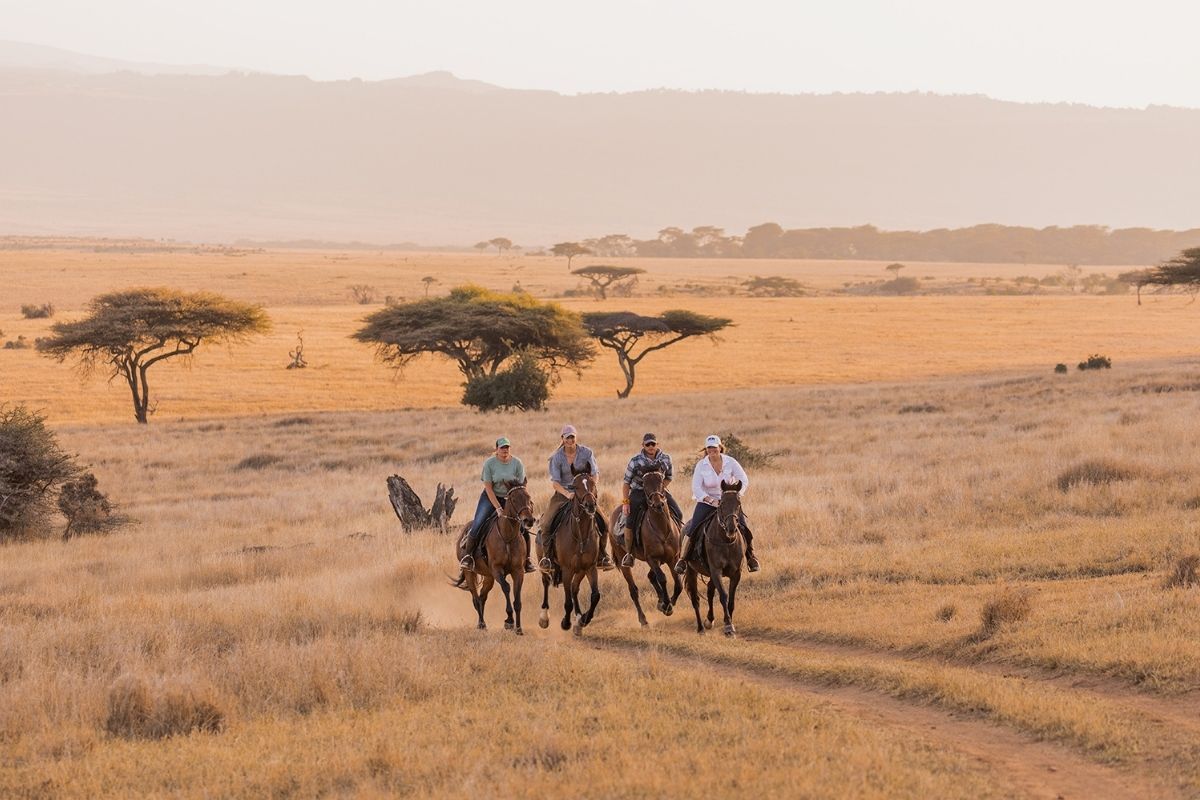 horses and riders galloping up a hill on the plains of kenya