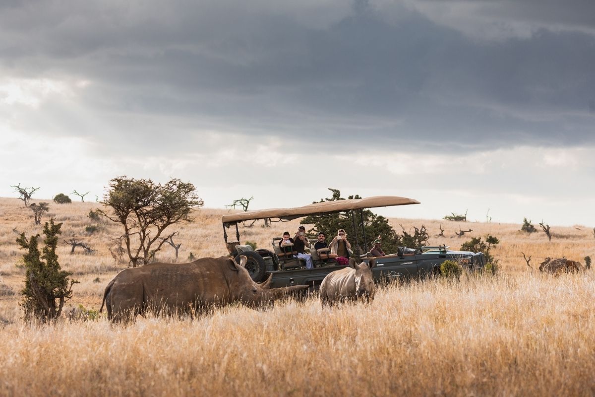 safari vehicle with guests looking at a rhino and her calf on the plains of kenya