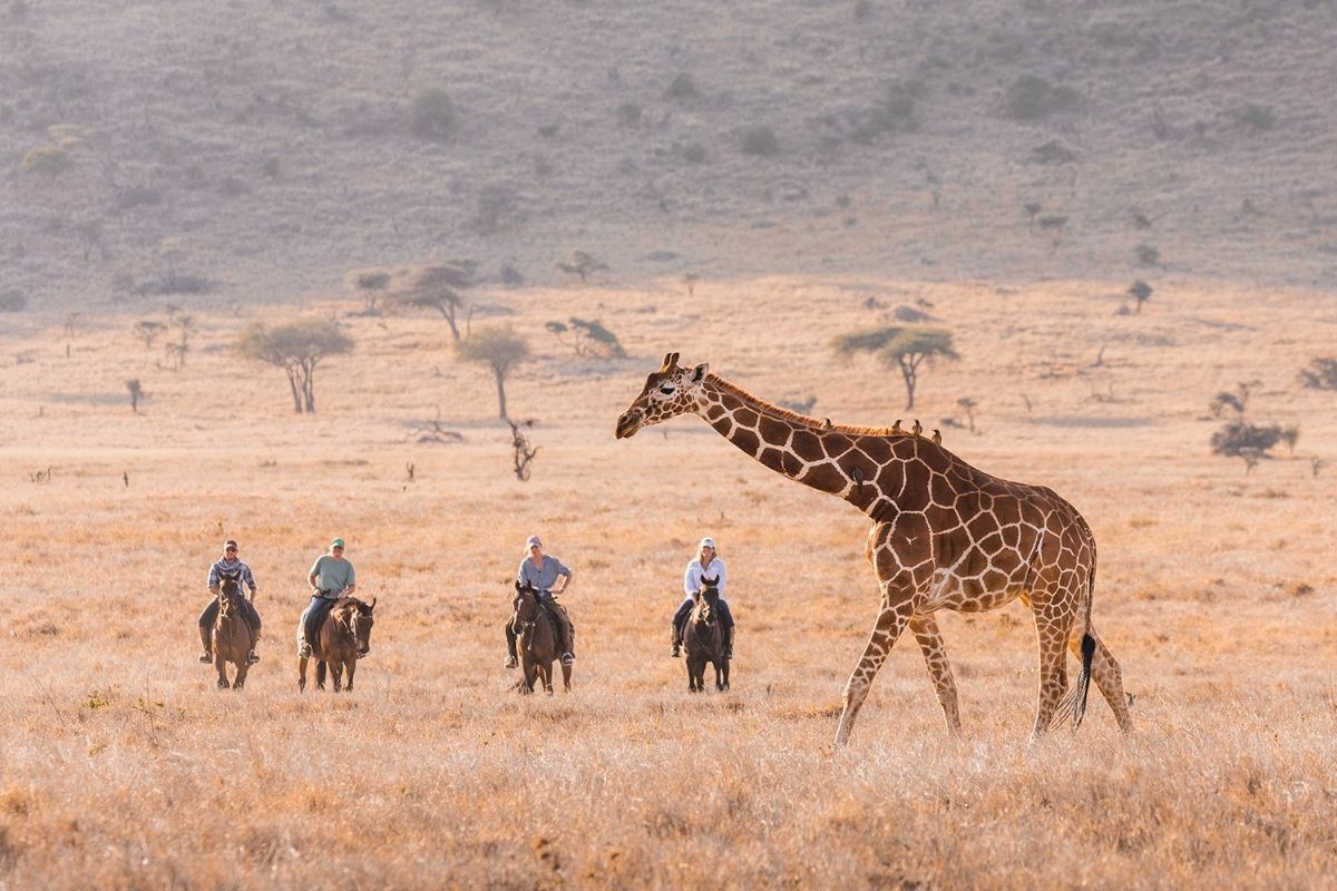 horses and riders standing and watching as a giraffe strolls past on the plains of kenya