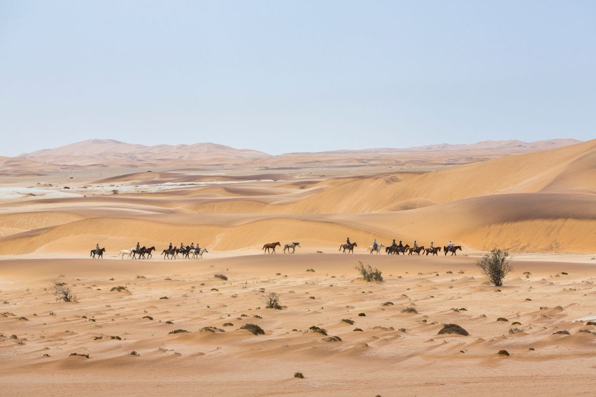group of horses, some with riders and some without walking along a path in between the dunes of the namib desert