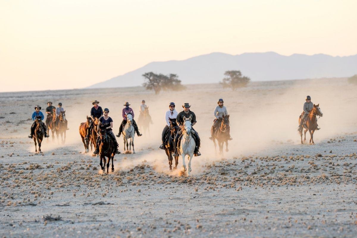 group of horses and riders trotting across the plains of the namib desert