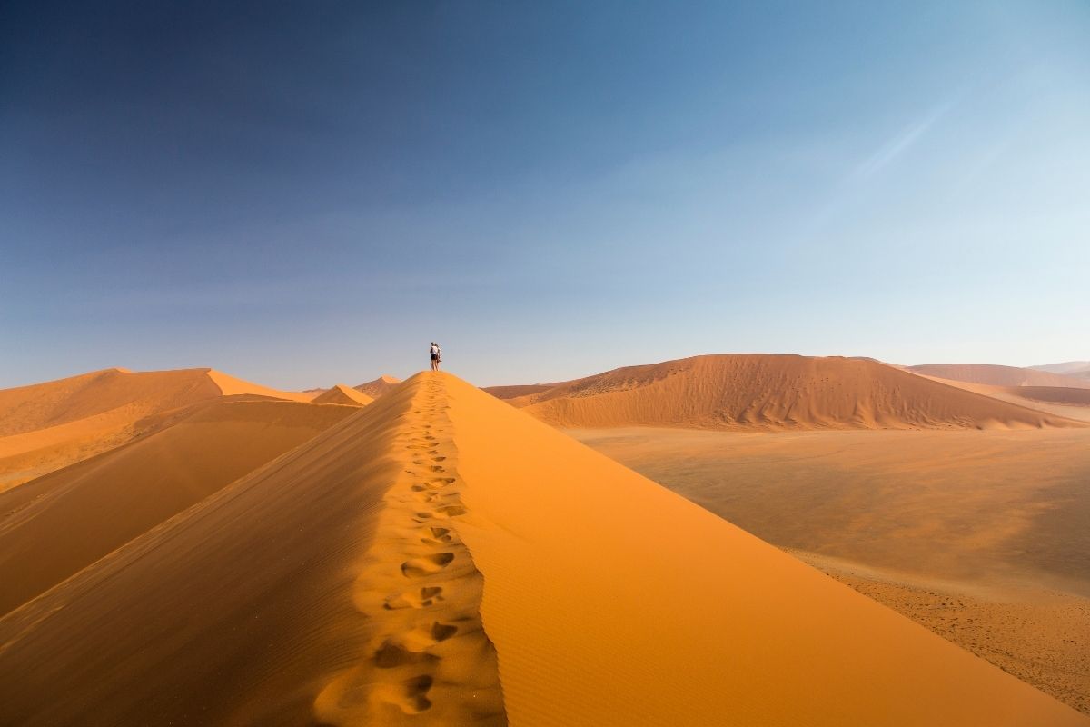 people standing at the top of a large dune in the namib desert