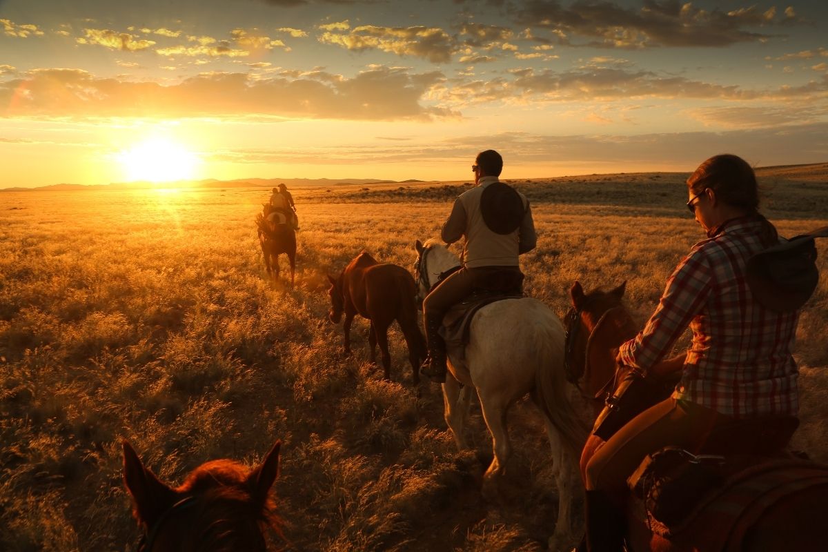 group of horses and riders riding in the sunset light in the namib desert