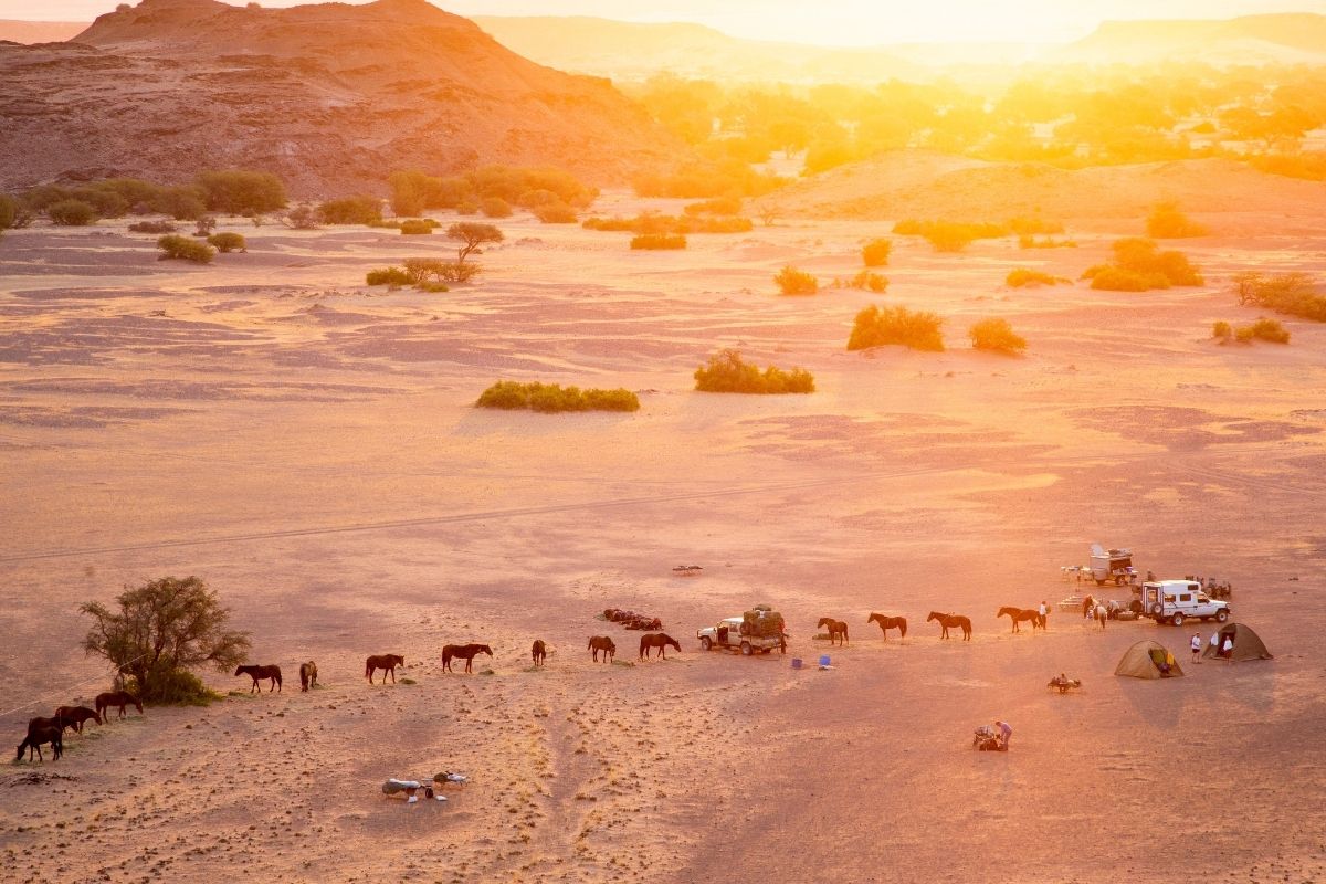 view of camp from the top of a hill overlooking the desert below with horses eating