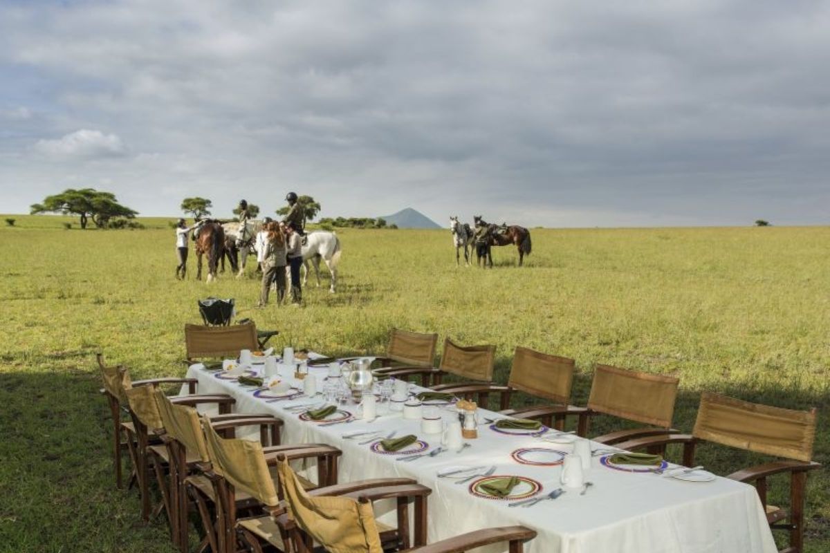 horses and riders dismounting to enjoy a lunch in the bush