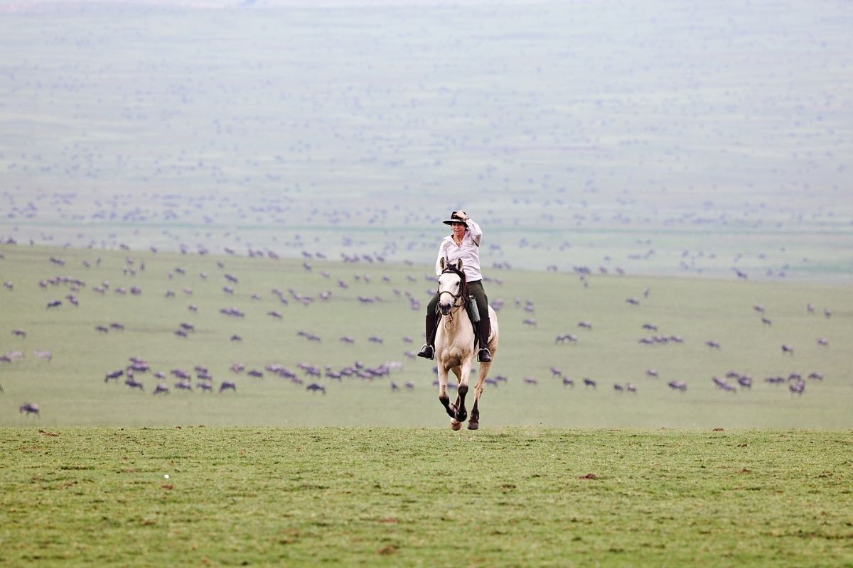 girl on a dun horse cantering across the plains of serengeti with large herds of migrating wildebeest in the background