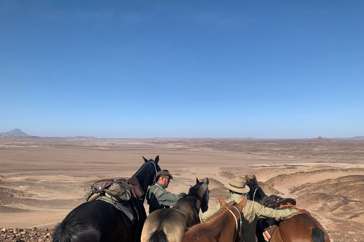 three horses and 2 riders standing a looking over the desert from a hill above in namibia