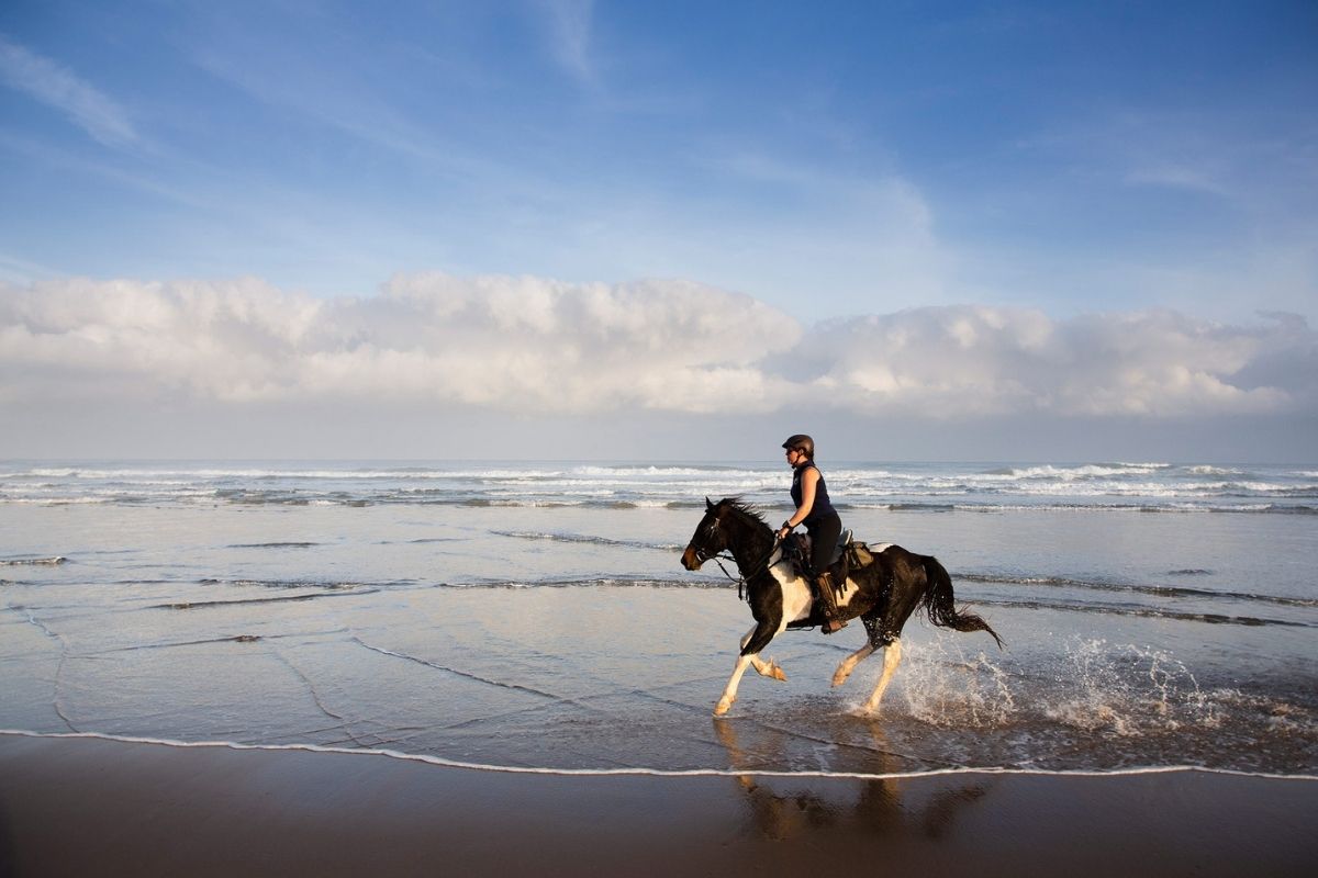 horse and rider cantering along the beach on the wild coast