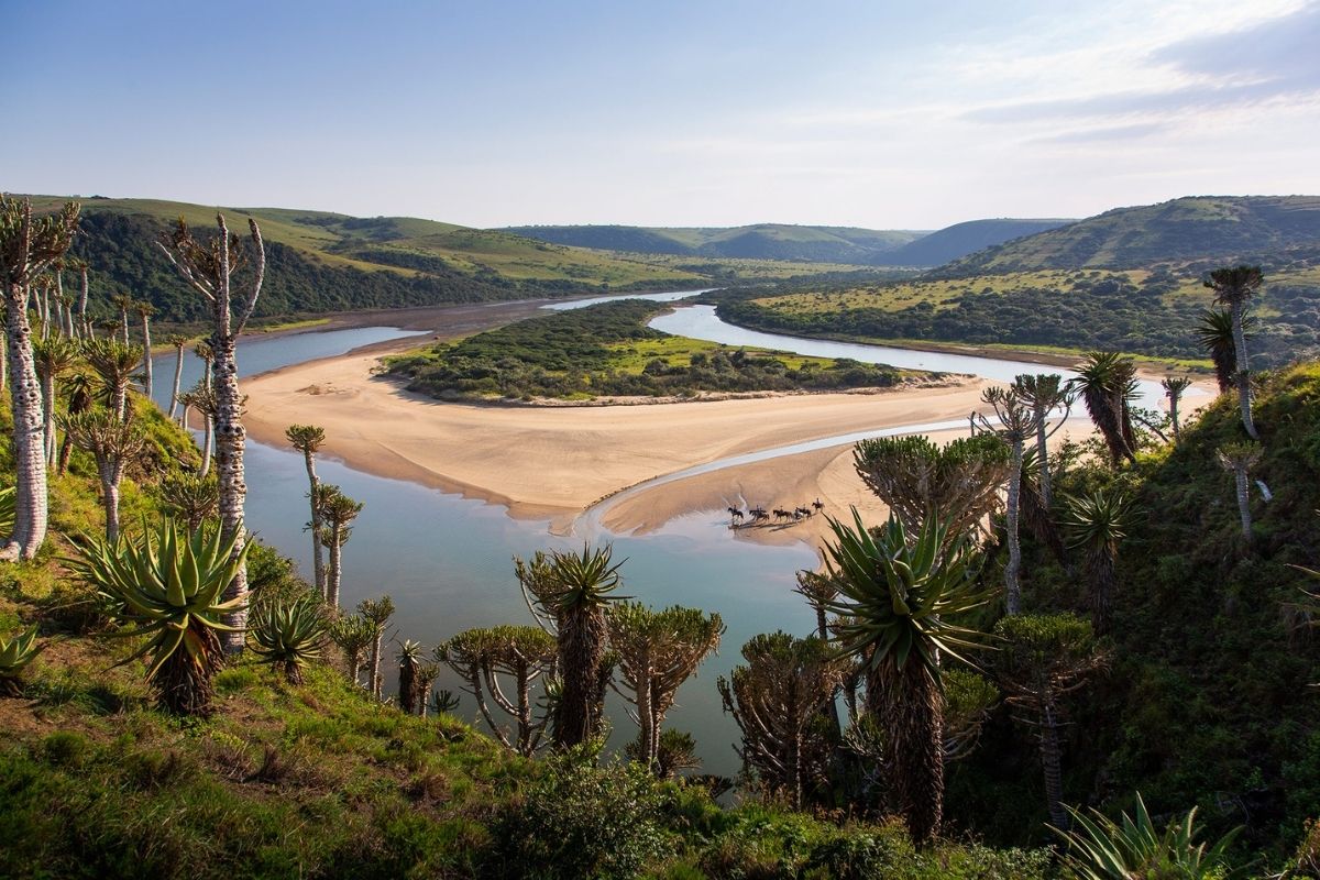 birds eye view of a river with aloes and horses and riders in the distance
