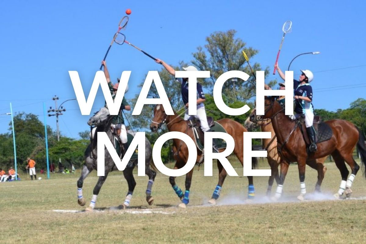 horses and riders playing polocrosse