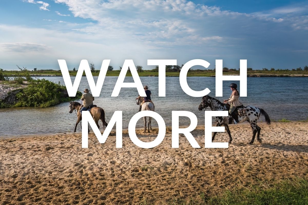 3 horses and riders standing near the waters edge in simalaha