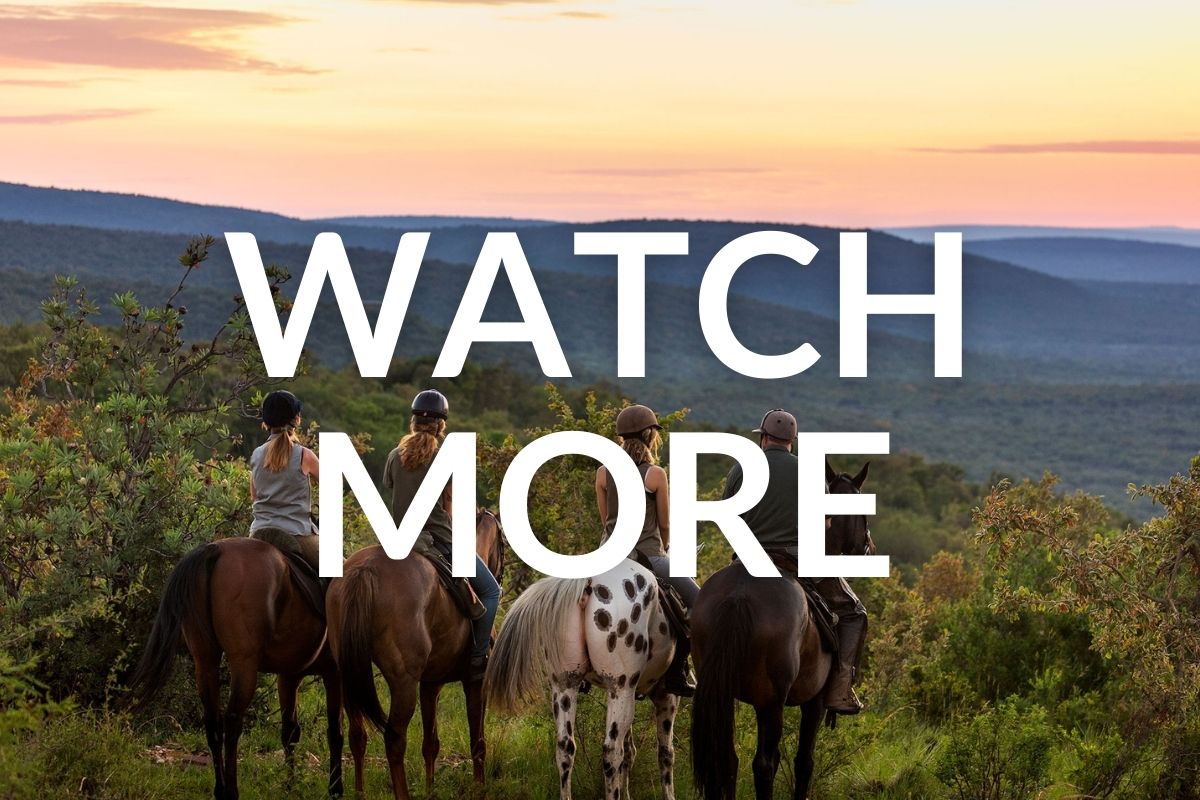 4 horses and riders looking out over the valley from the top of a hill