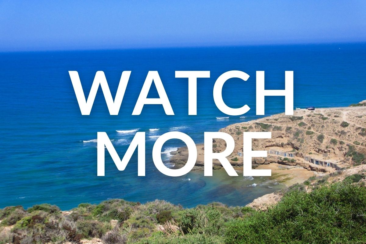 view from a hill of the coastline in essaouira