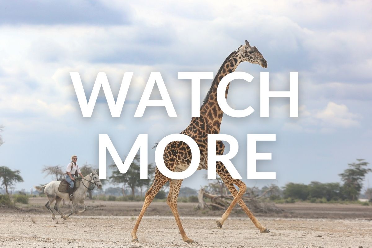 woman on a grey horse galloping alongside a giraffe