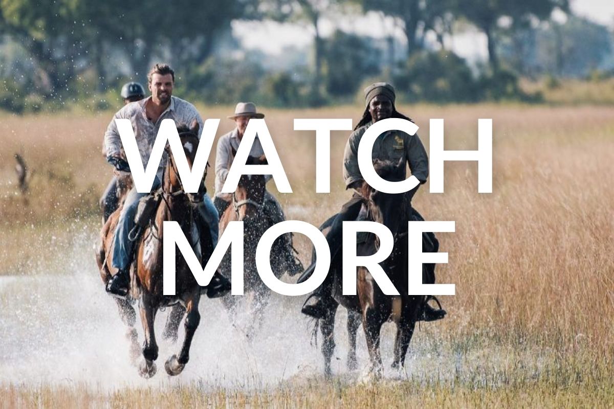 riders cantering on horses in the Okavango delta in botswana