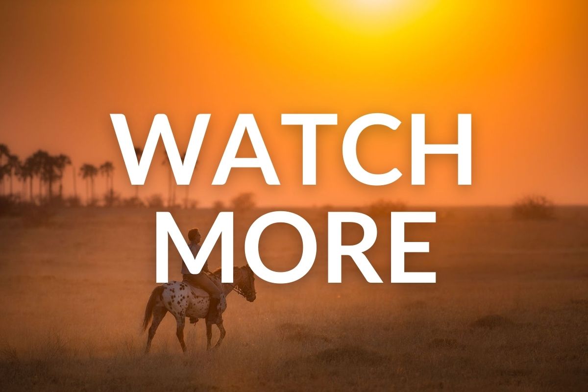 horse and rider on the plains of botswana at sunset