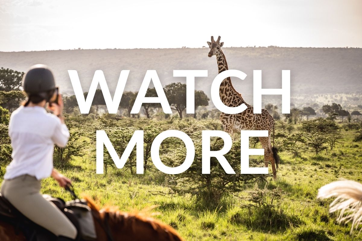girl on a chestnut horse taking a ohoti with her phone of a giraffe nearby