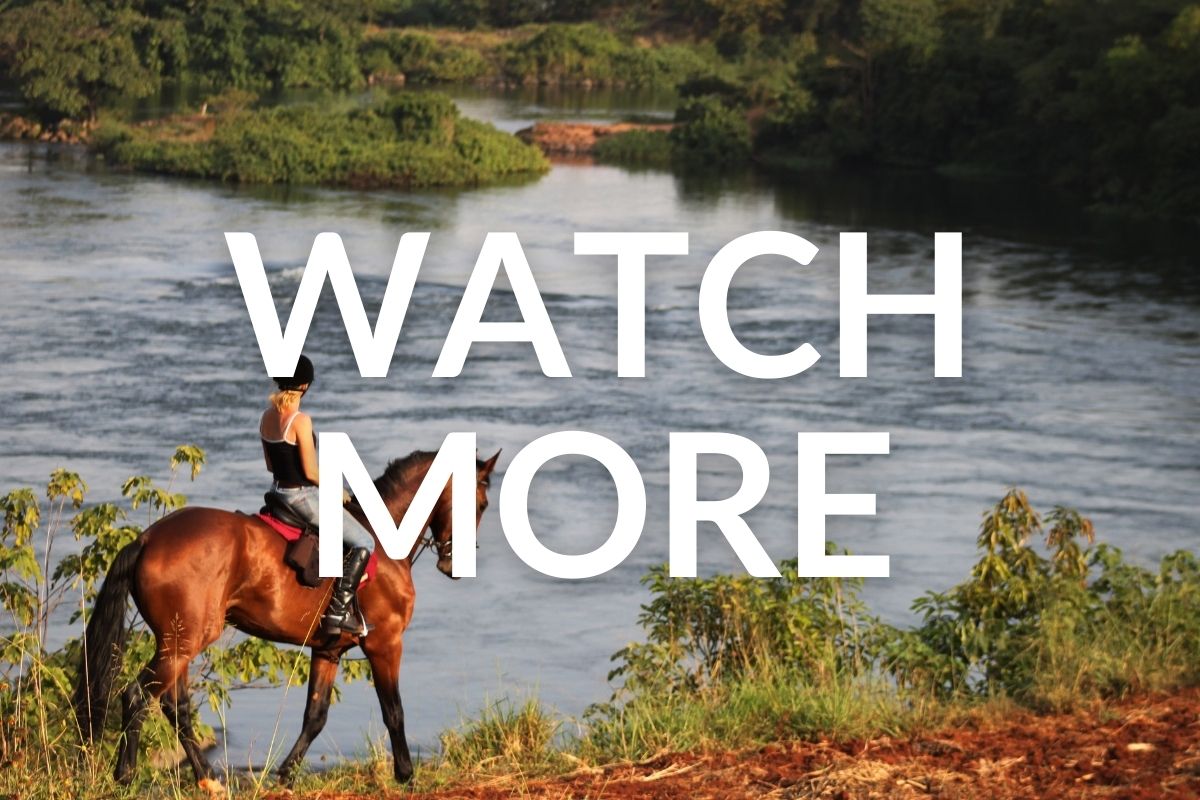 girl on a bay horse standing next to the nile river in uganda