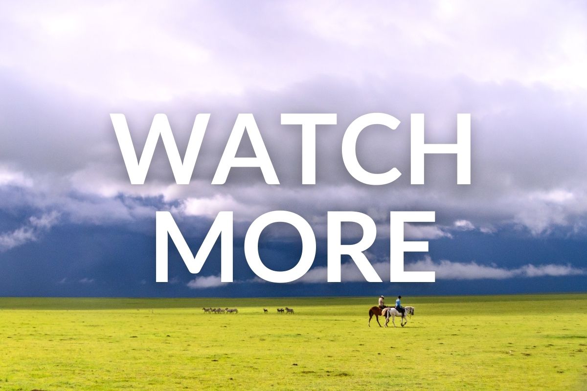 beautiful contrasting colours of green grass on the plains of serengeti with a stormy sky with 2 riders and their horses walking across near a herd of zebra