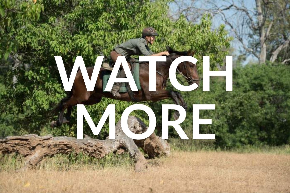 horse and rider jumping log in botswana