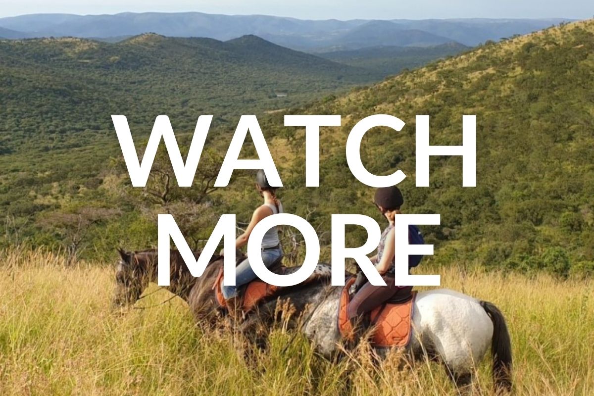 horses and riders overlooking the valley from the top of a hill in South Africa