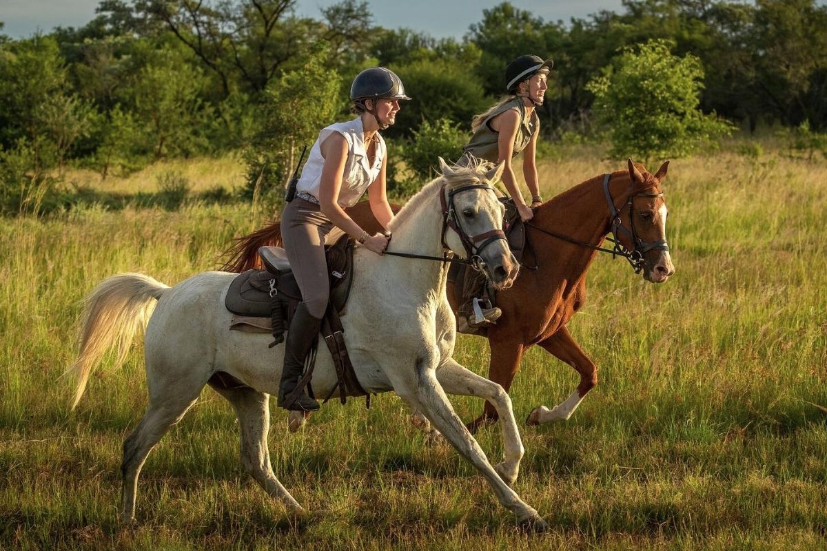 Horse Riding at Bushwillow Camp at Ant Africa Safaris in South Africa