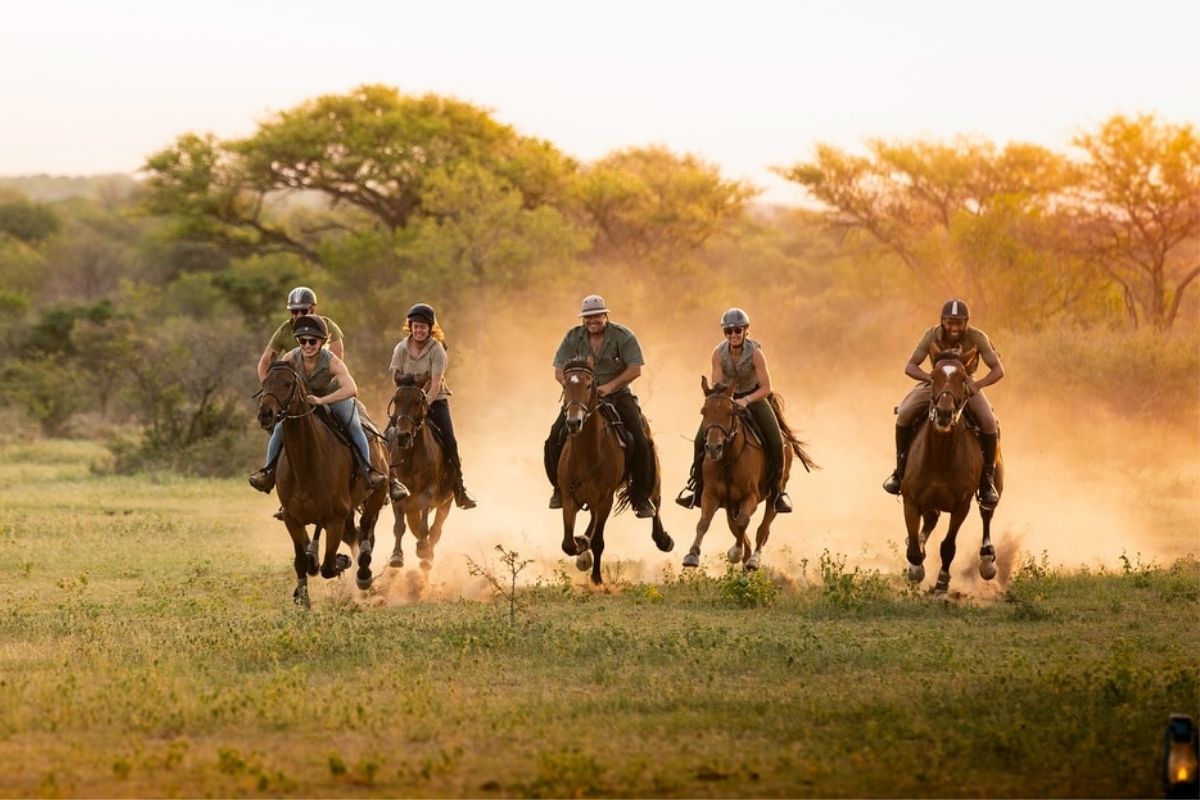 Horse riding at Bushwillow Camp at Ant Africa Safaris in South Africa