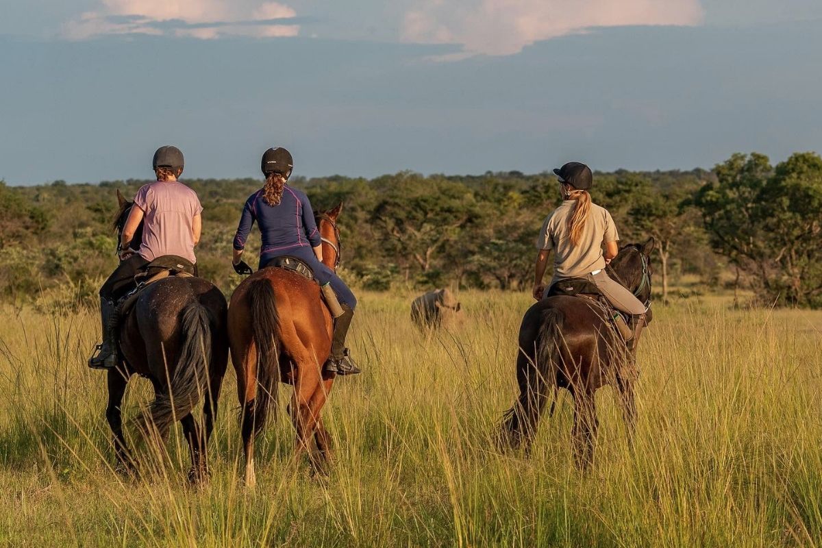Horse Riding with rhino at Bushwillow Camp at Ant Africa Safaris in South Africa