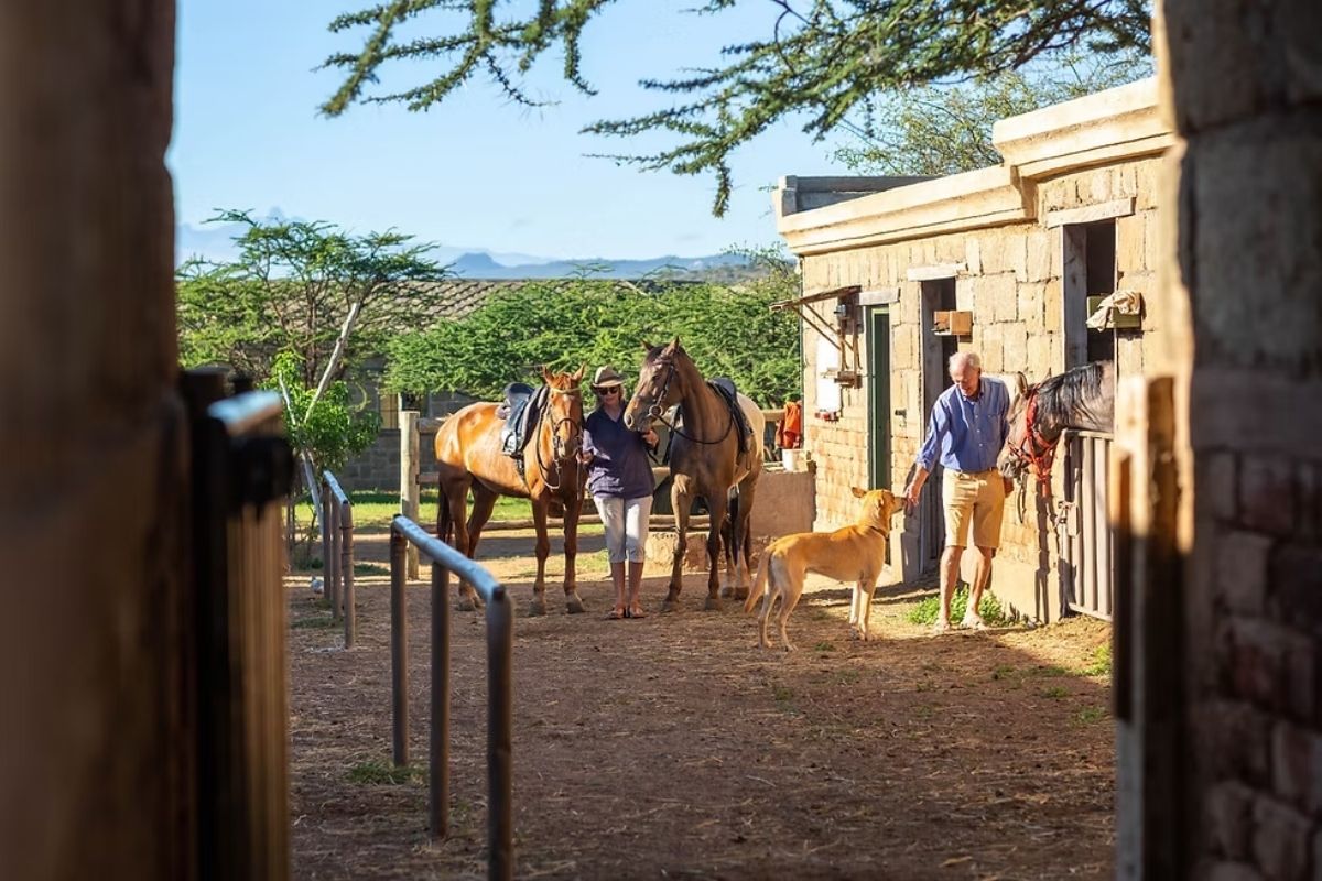 The stables at Rocky Hollow in Kenya