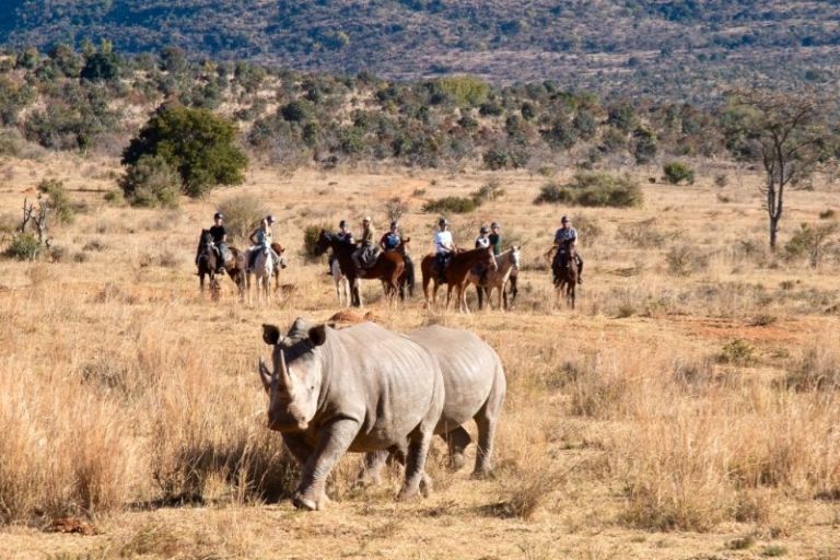 Horse Riding with Rhino in Entabeni, South Africa