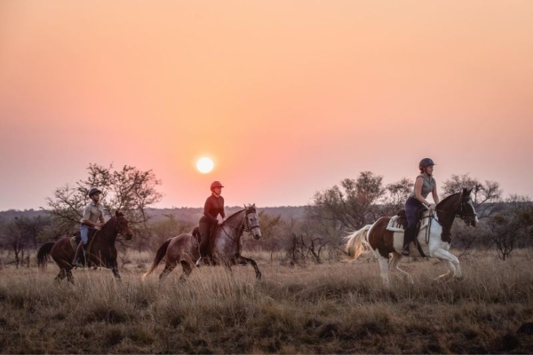 Bushwillow at Ants 1 (6) Horse riding at Bushwillow Camp at Ant Africa Safaris in South Africa