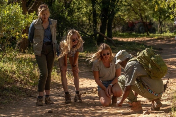 Bushwillow at Ants (10) Guided walk at Bushwillow Camp at Ant Africa Safaris in South Africa