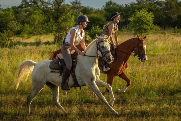 Bushwillow at Ants (13) Horse Riding at Bushwillow Camp at Ant Africa Safaris in South Africa
